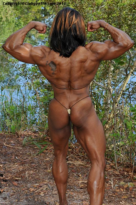 American Made Muscle 3